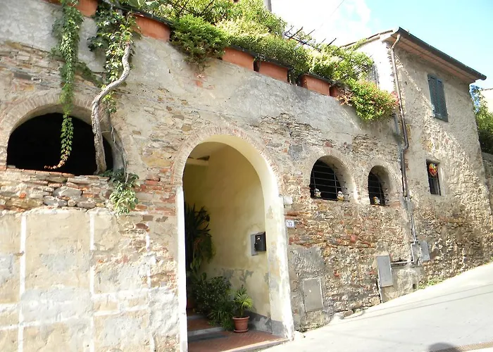 Casa David