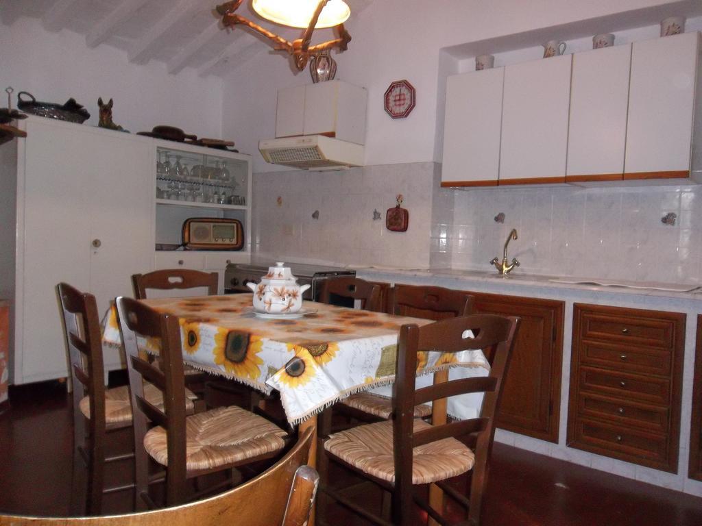 Casa David
