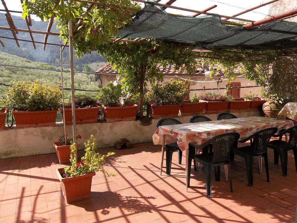 Casa David